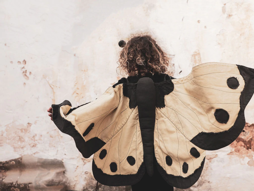 Butterfly-wings-for-kids